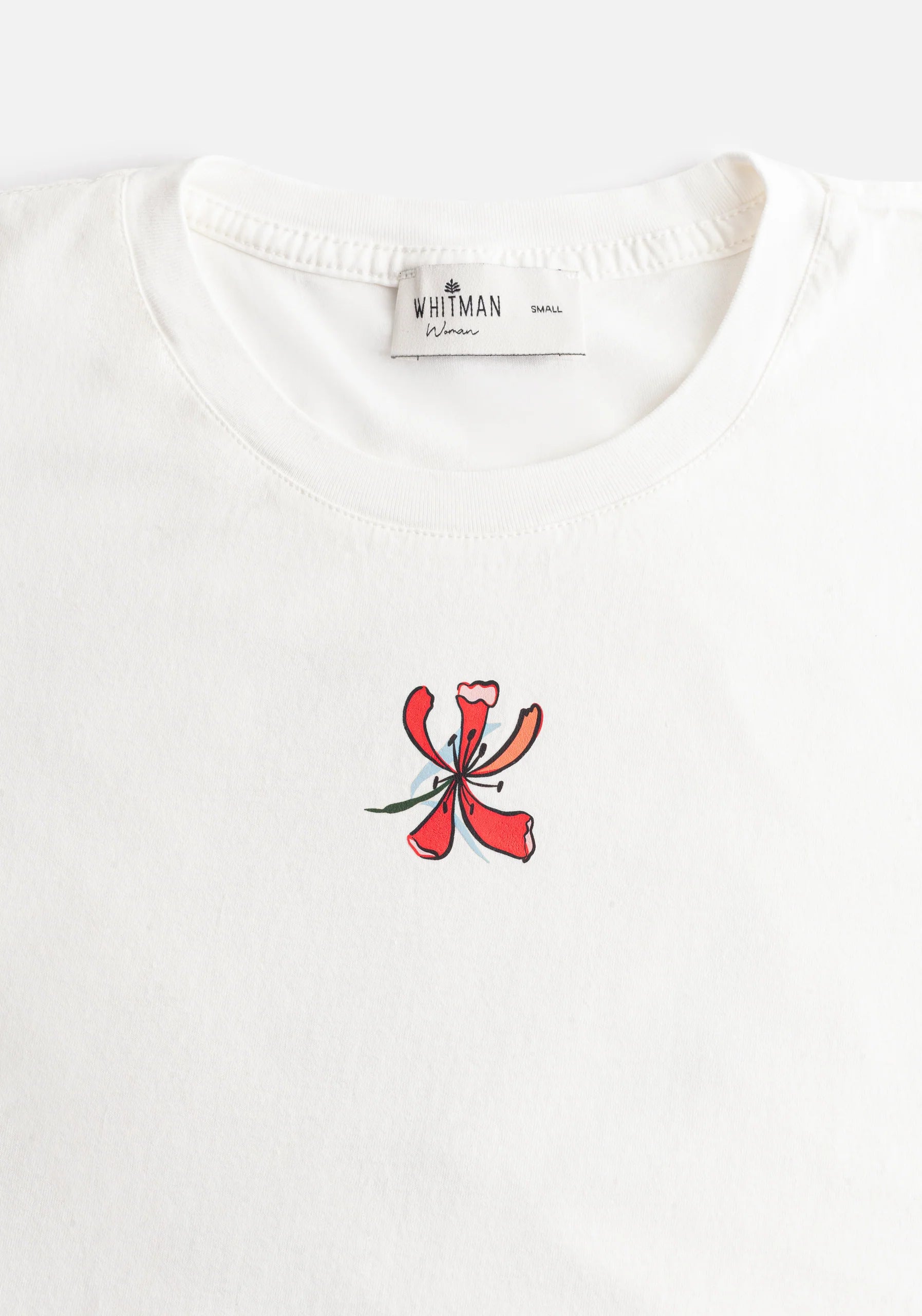 Jett Ivory T-shirt