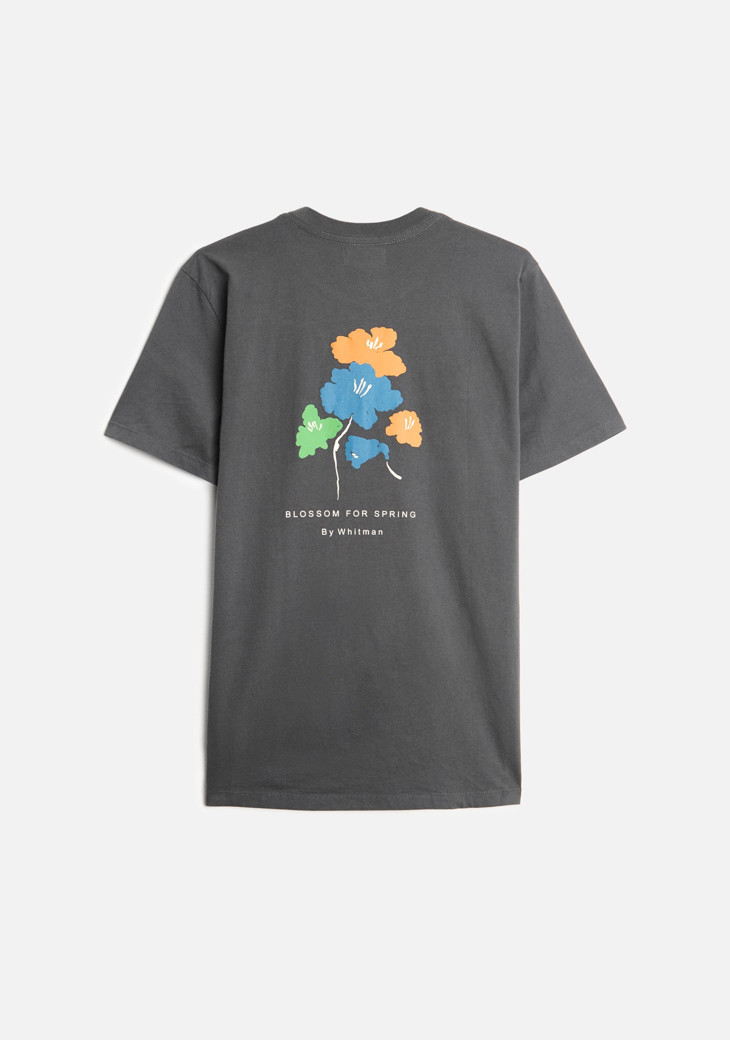 Karl T-shirt in Dark Gray