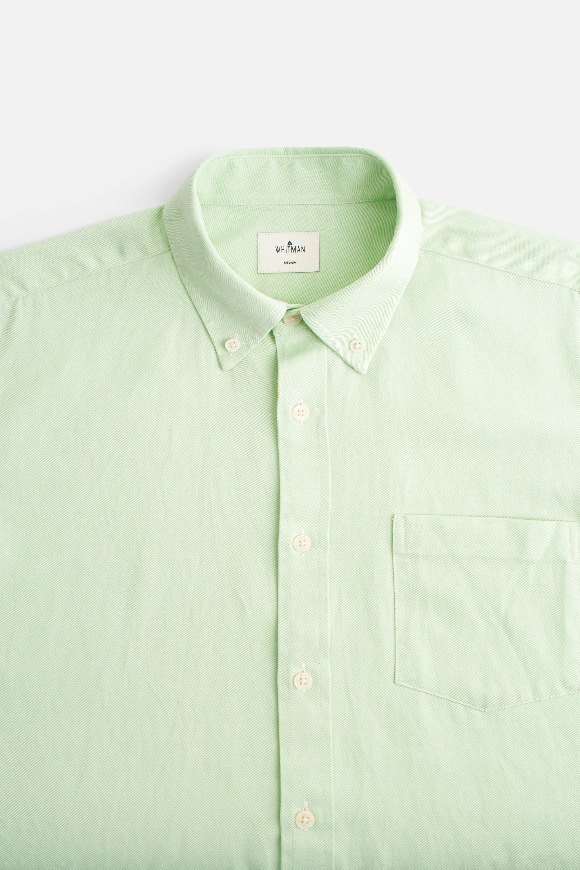 Hamilton Tencel Light Green Shirt