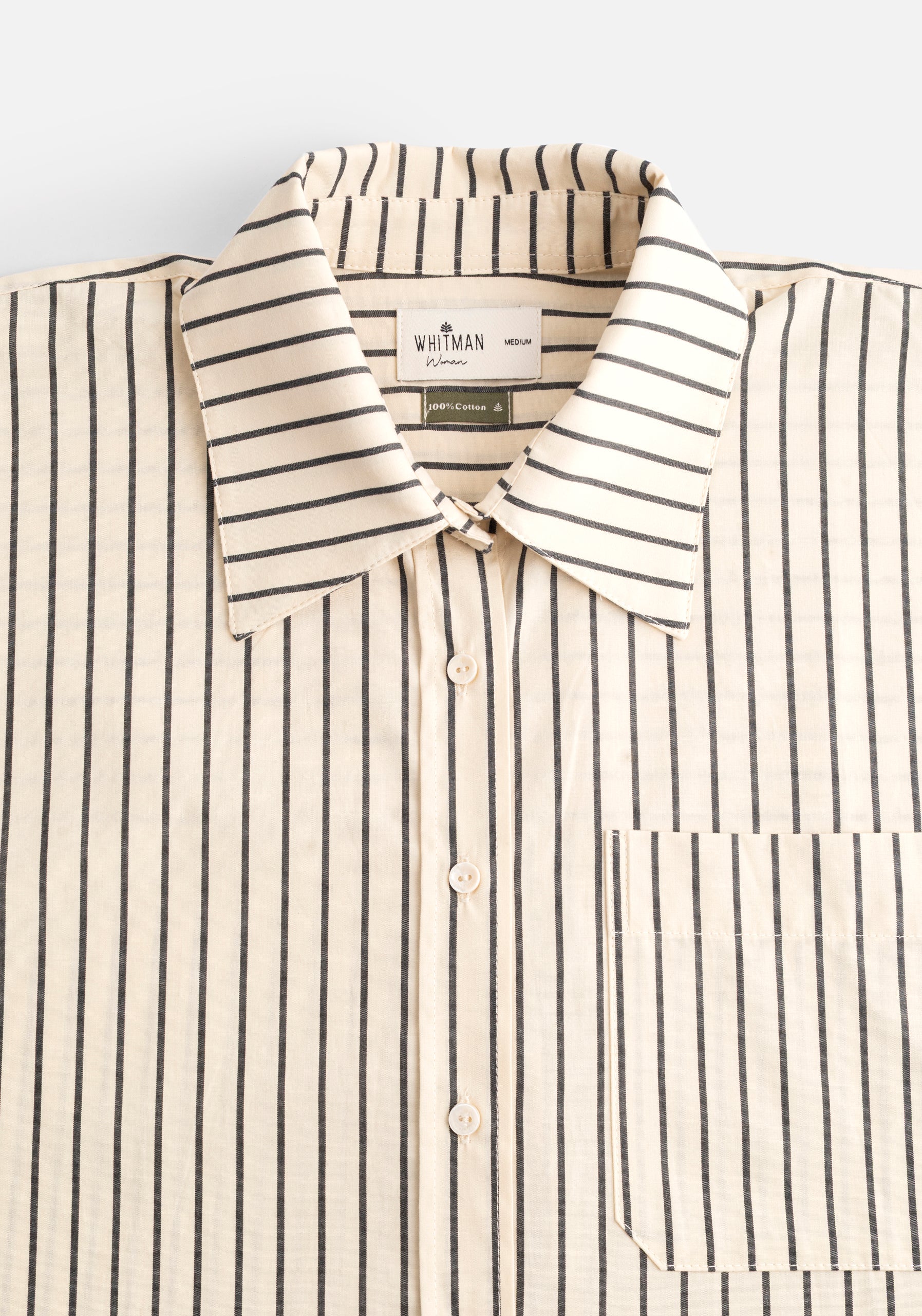 Antonella Striped Shirt GRD Beige