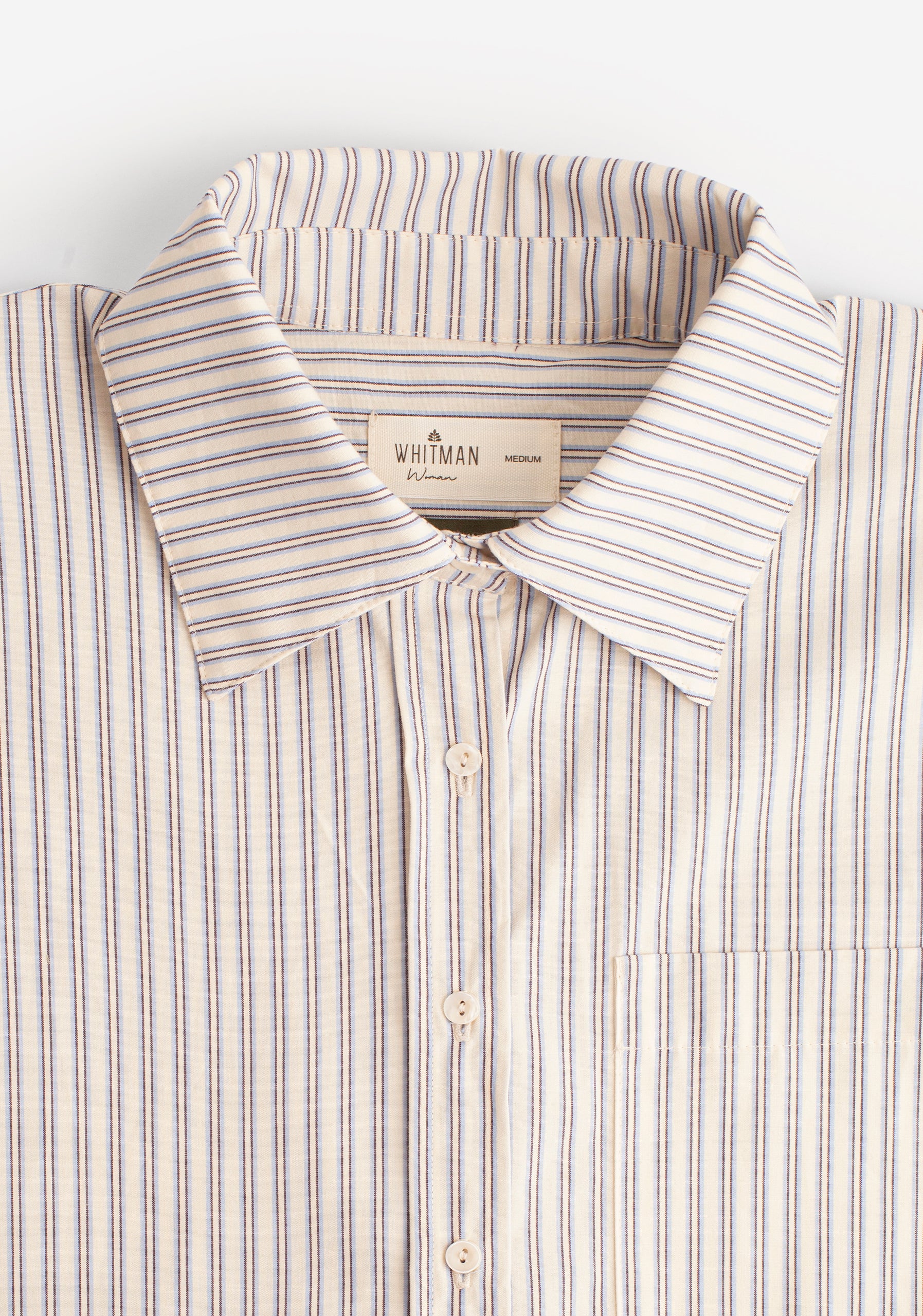 Antonella Shirt in Ivory and Blue Stripes