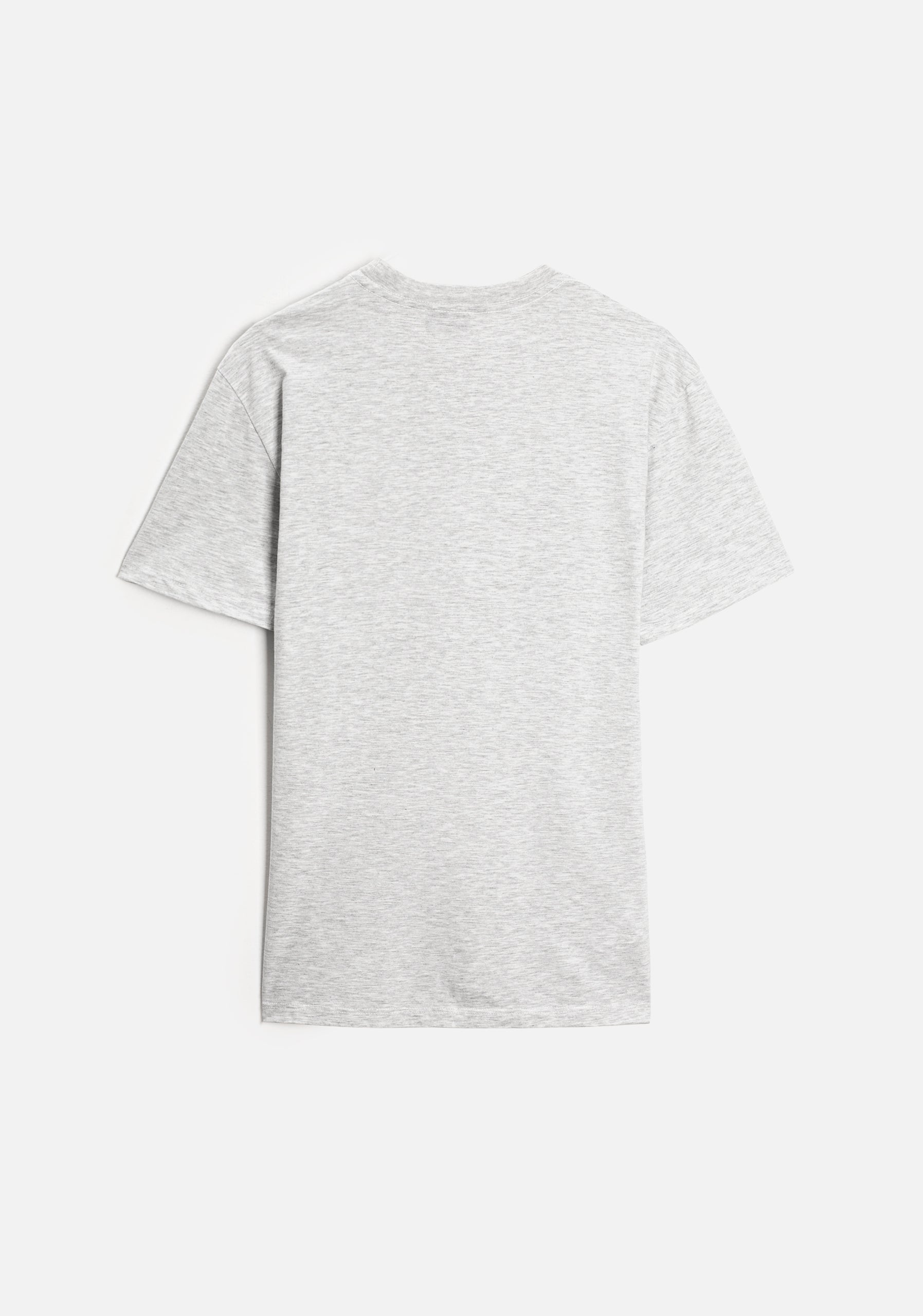 T-shirt in Light Gray L-Fuc