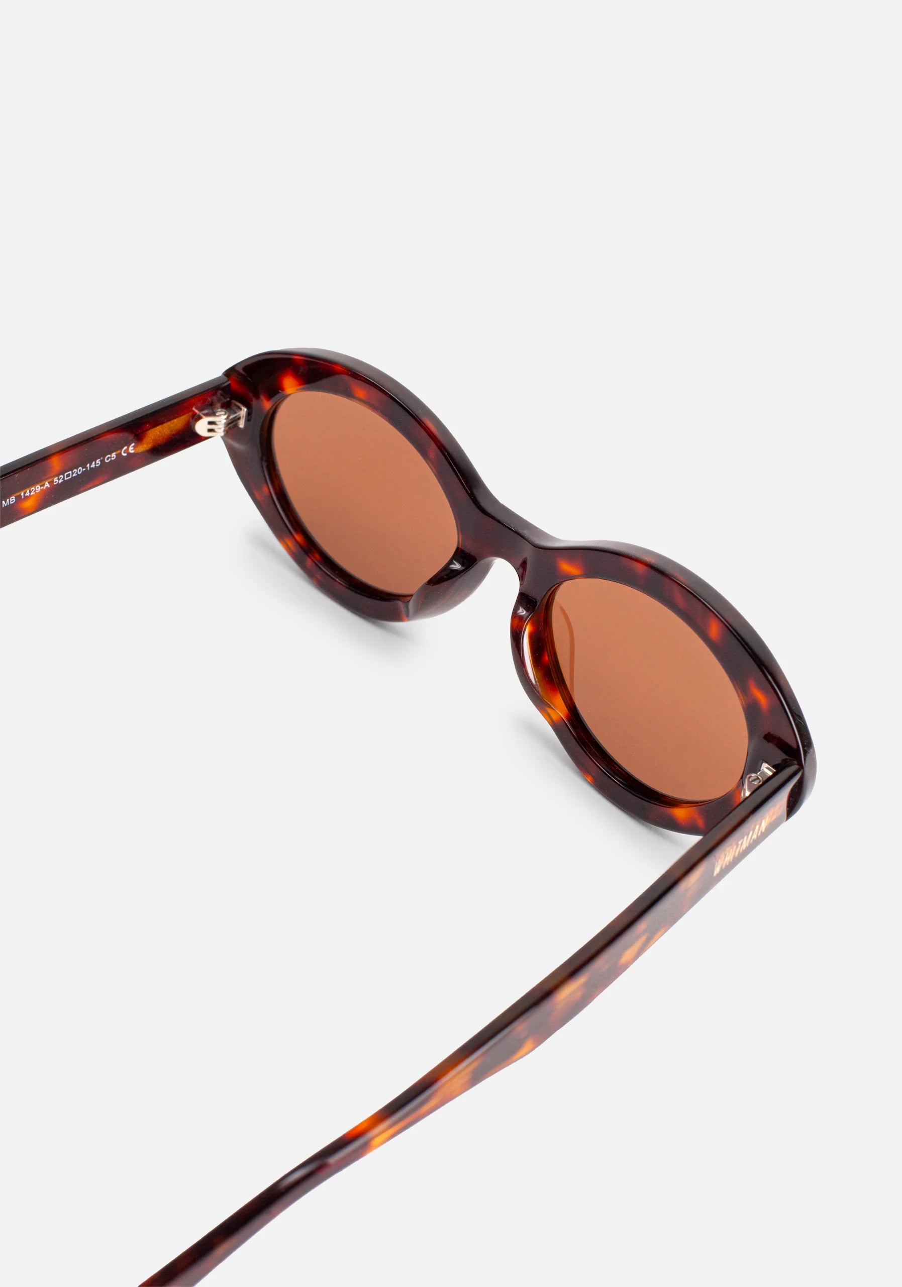 Sarabi Carey Glasses