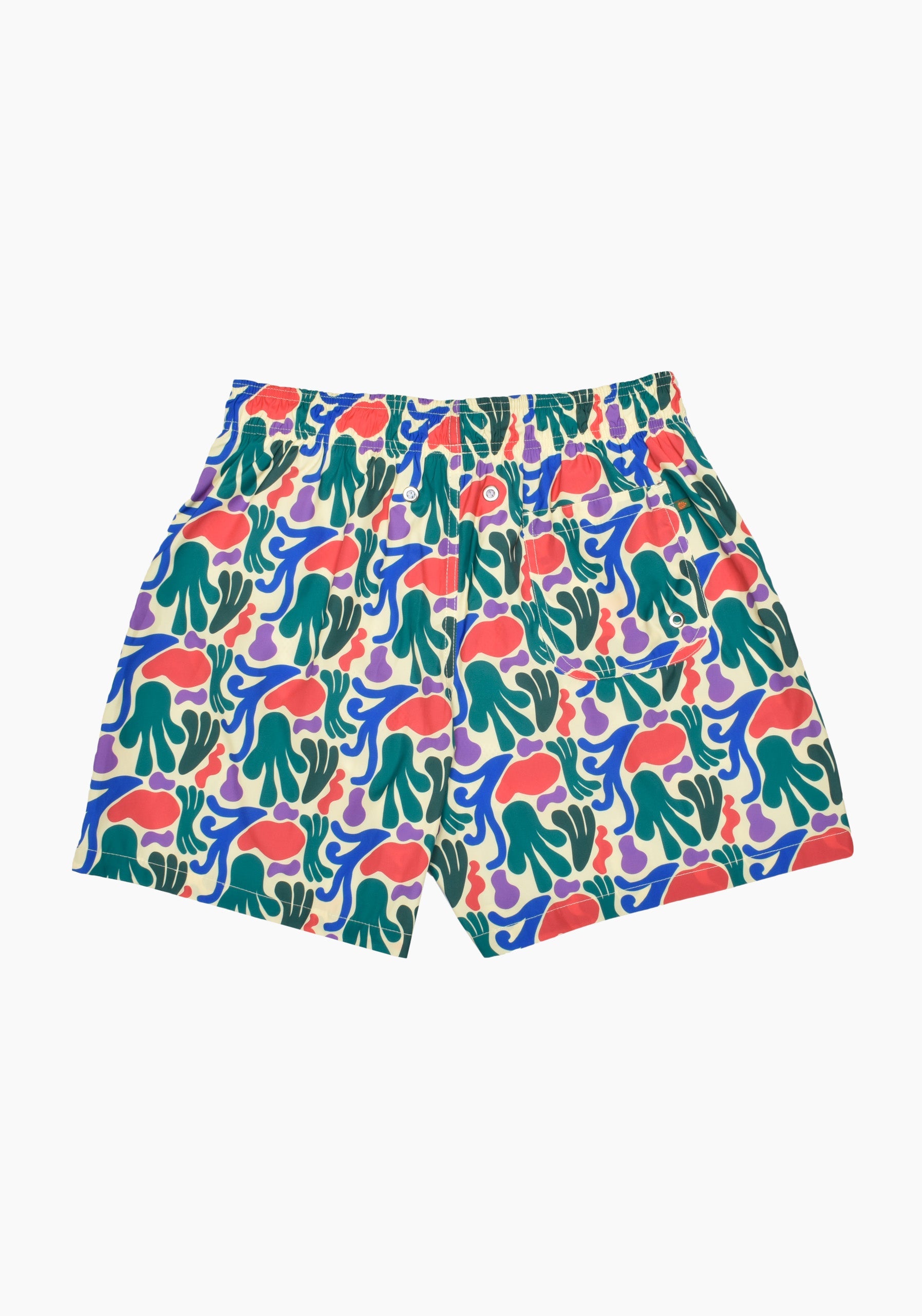 Tulum Printed Swim trunks