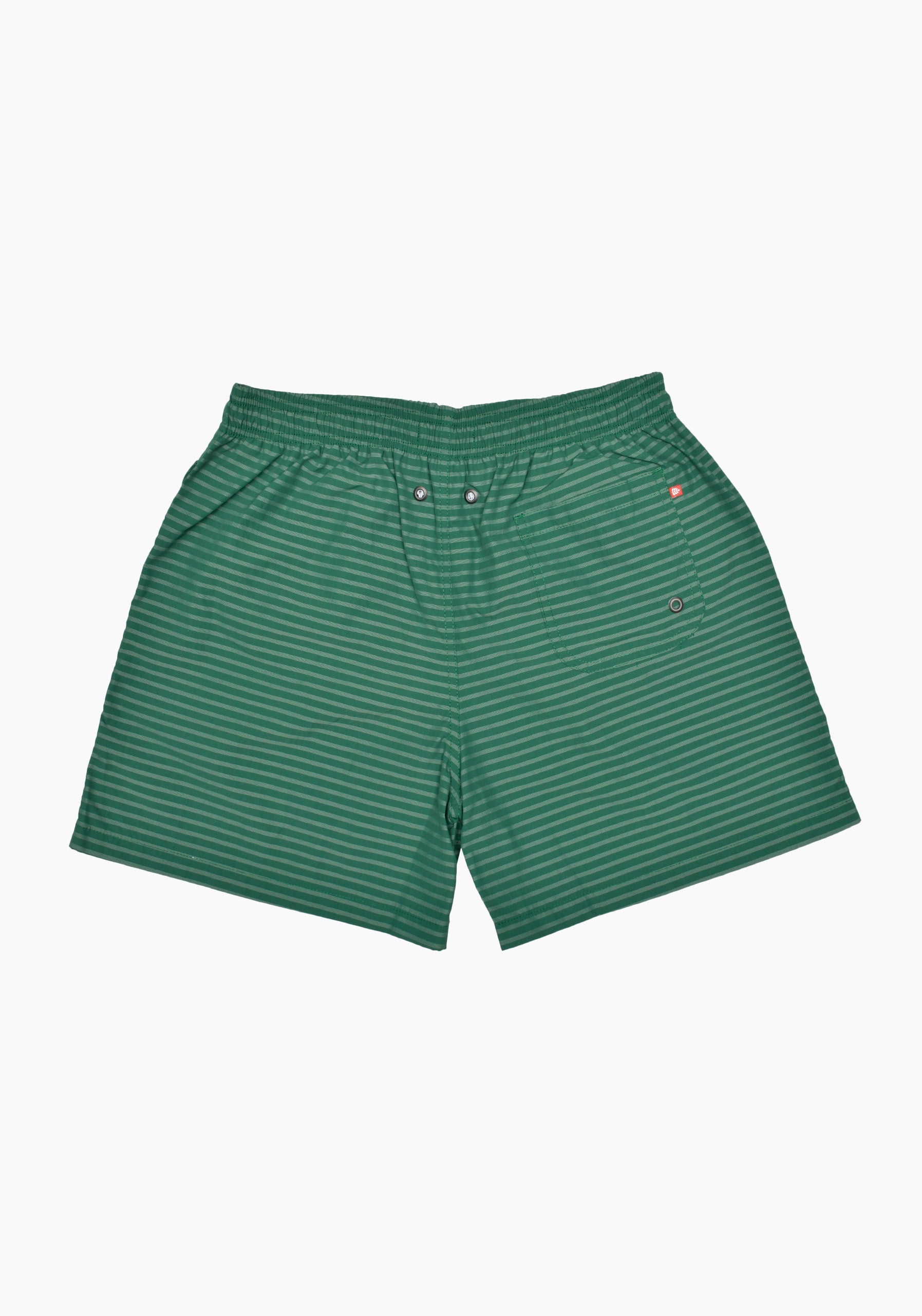 Vallarta Green Swim Trunks