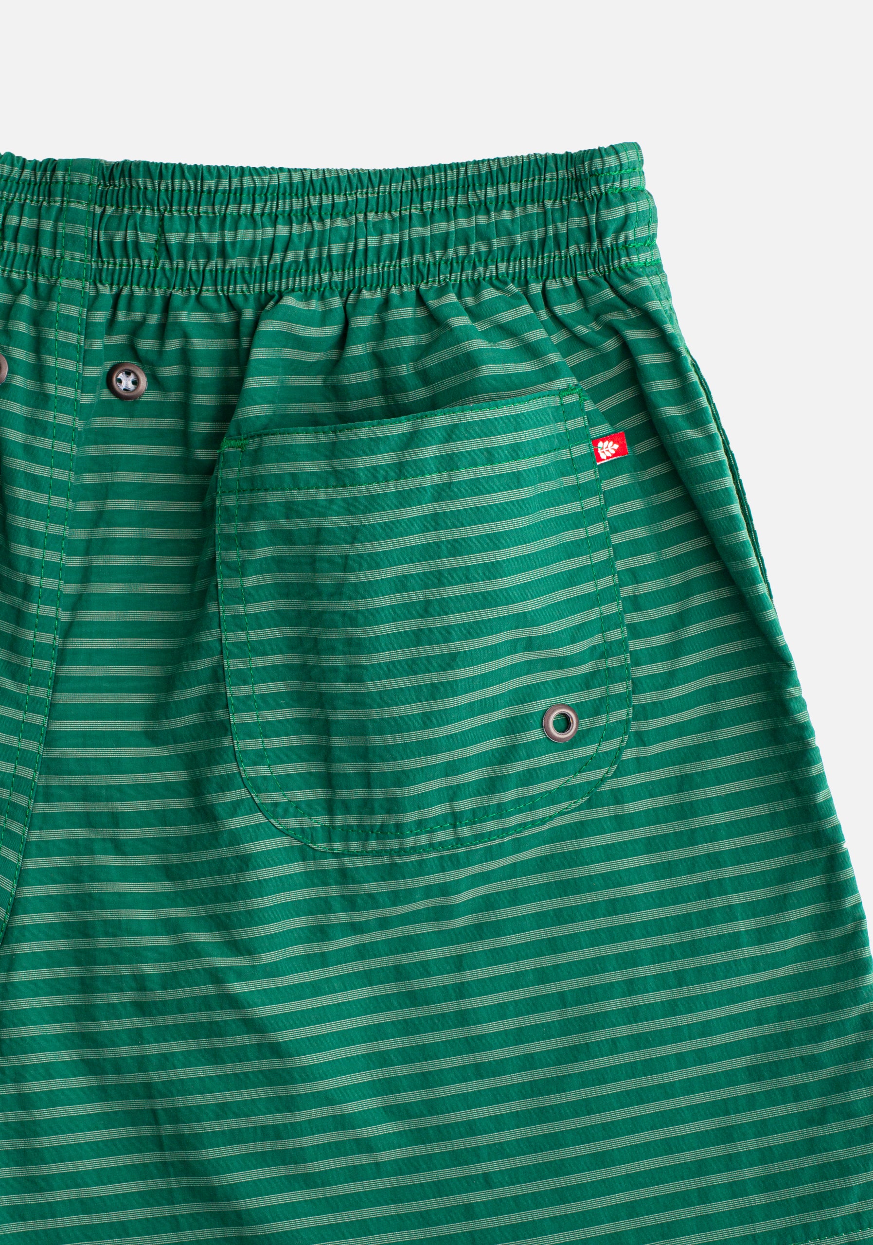 Vallarta Green Swim Trunks