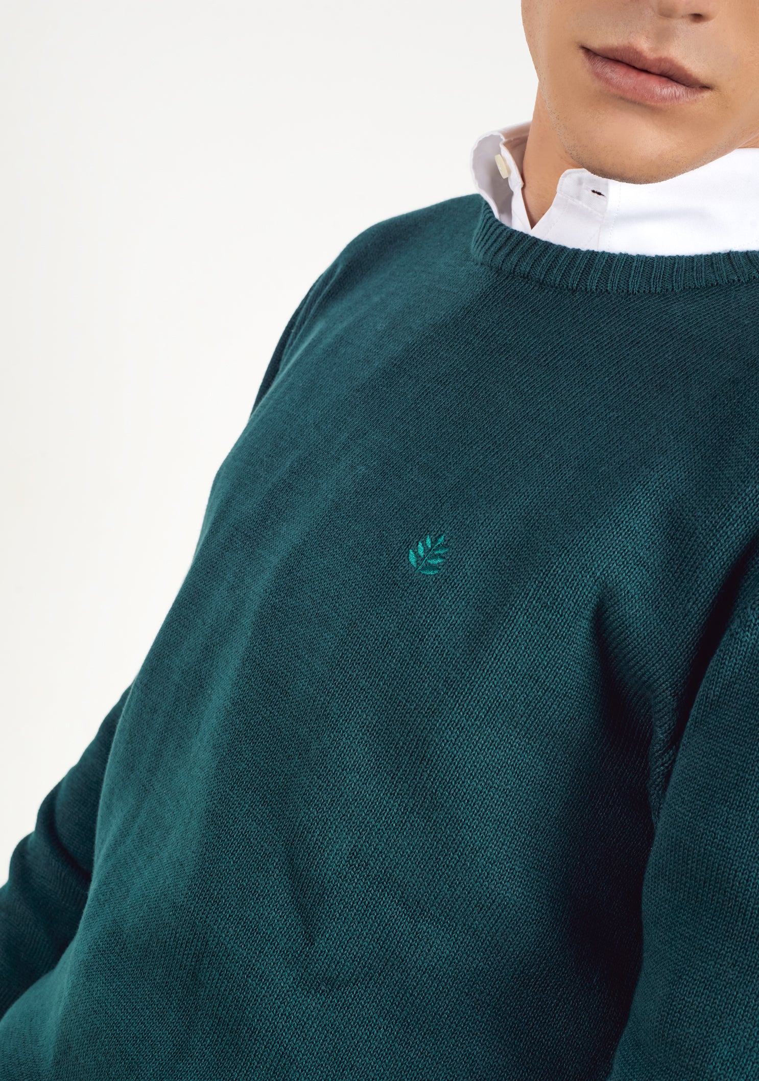 sweater San Diego in Dark Green